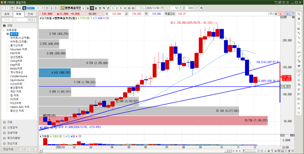 엠앤씨솔루션 주가 주봉차트